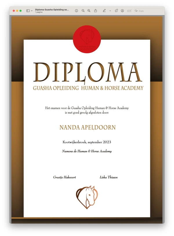 Guasha diploma